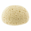 Chicco Extra Absorbent Sponge 0M+