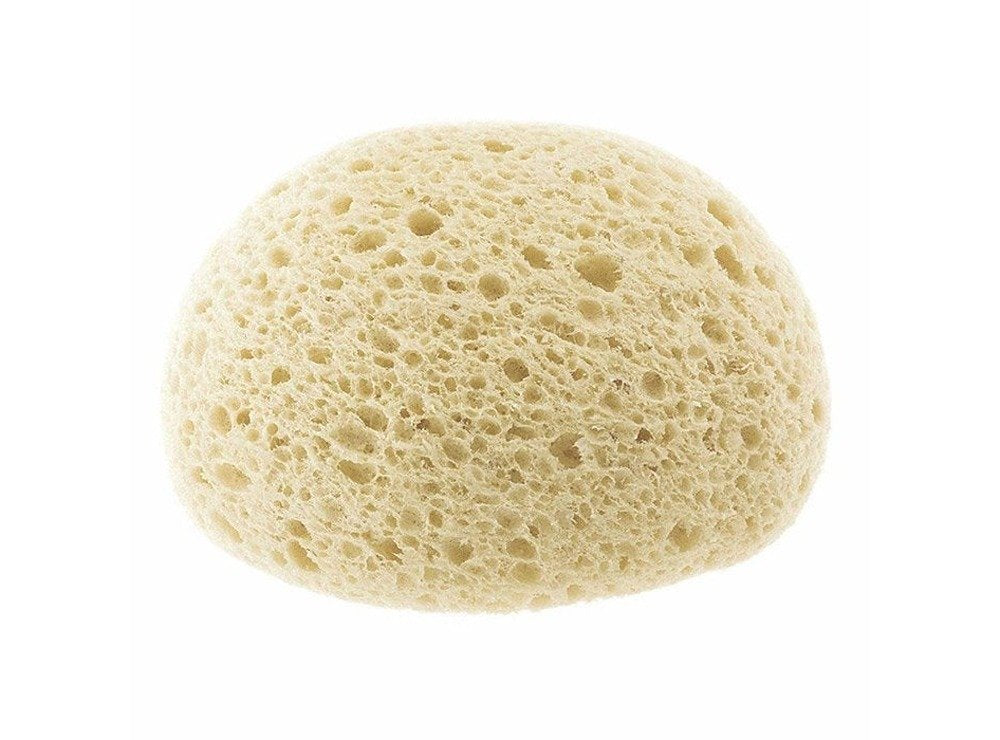 Chicco Extra Absorbent Sponge 0M+